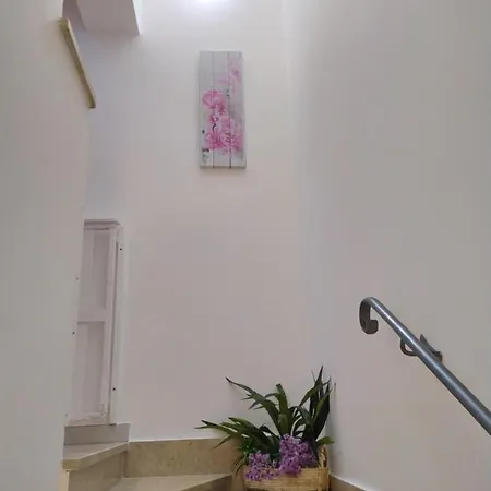 Casa de hóspedes Alba Chiara *